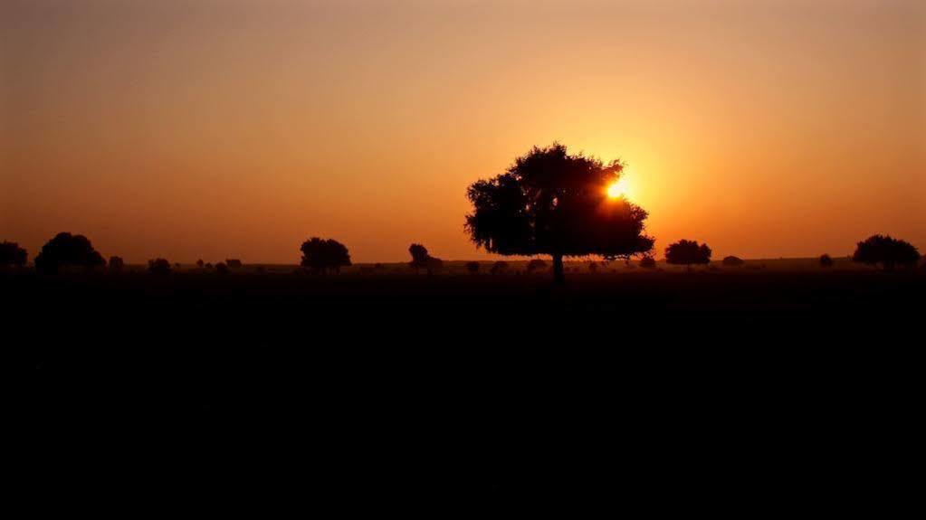 Damodra Desert Camp Jaisalmer Dış mekan fotoğraf