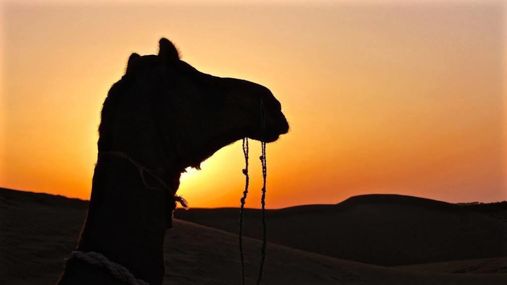 Damodra Desert Camp Jaisalmer Dış mekan fotoğraf